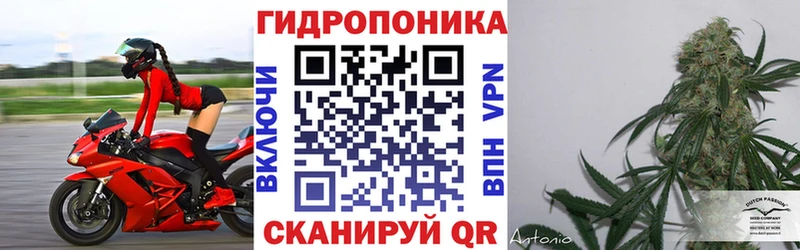  КОКАИН Кирово-Чепецк
