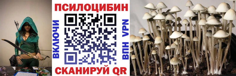 Псилоцибиновые грибы Psilocybine cubensis  как найти   Кирово-Чепецк 